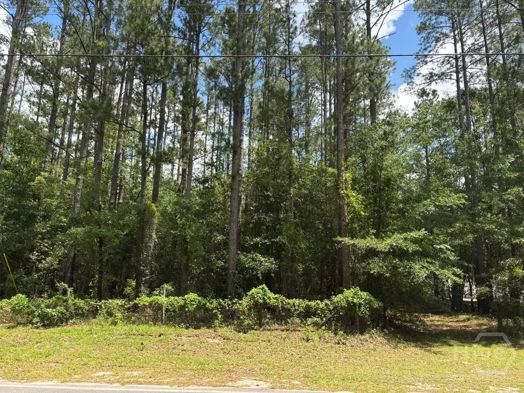 307 Arden Loop Circle Ellabell GA 31308