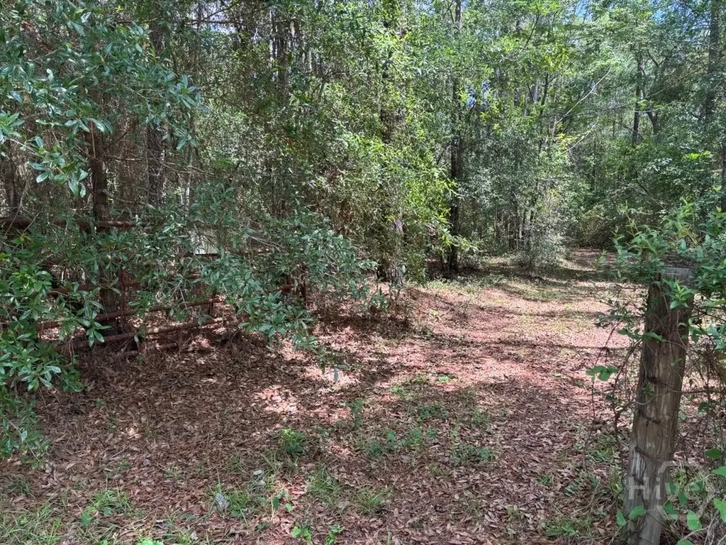 307 Arden Loop Circle Ellabell GA 31308