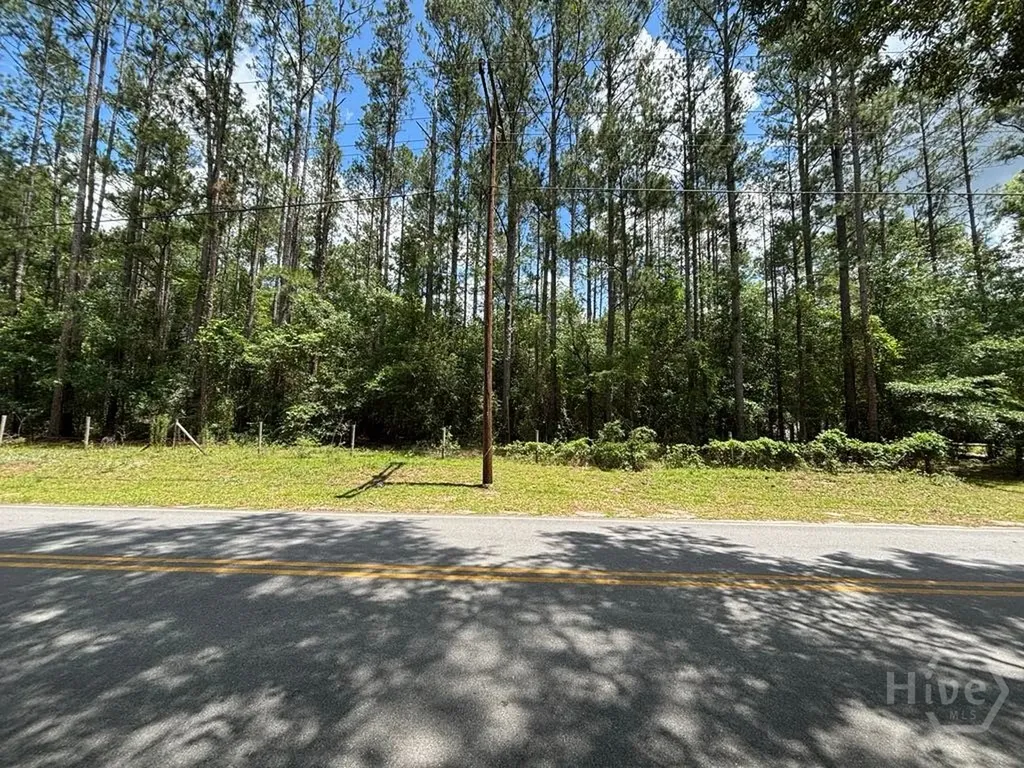 307 Arden Loop Circle Ellabell GA 31308