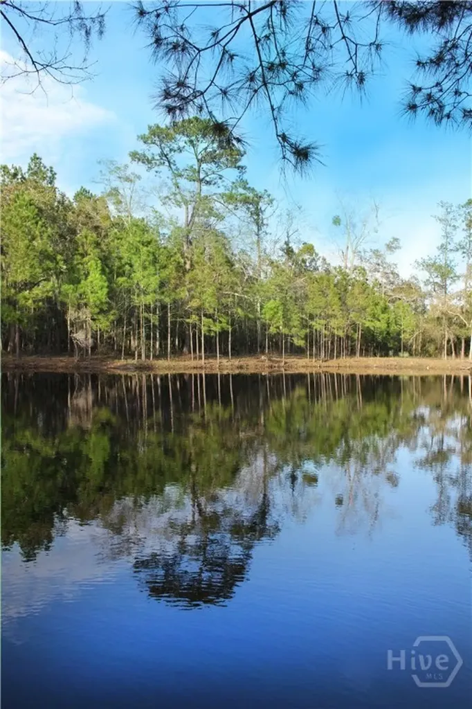1 William's (36 Lots 95 Acres) Retreat Savannah GA 31419