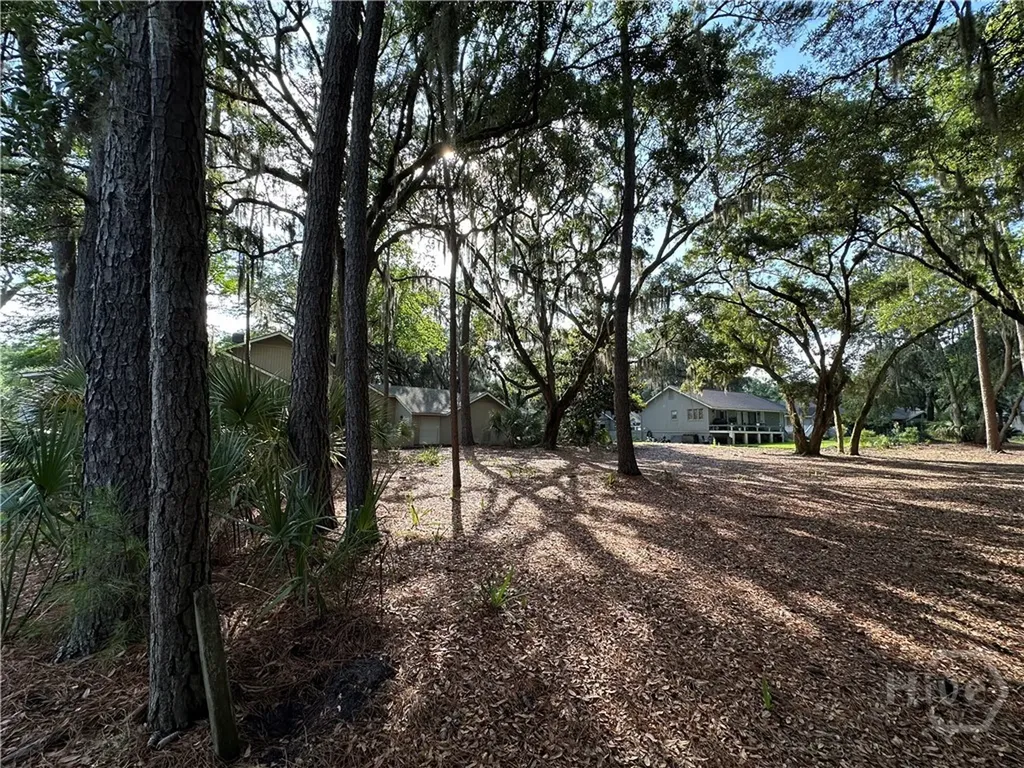 8 Topsail Court Savannah GA 31411