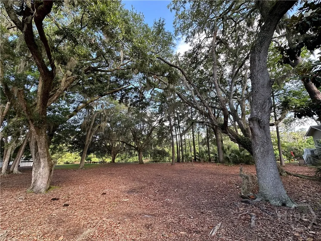8 Topsail Court Savannah GA 31411