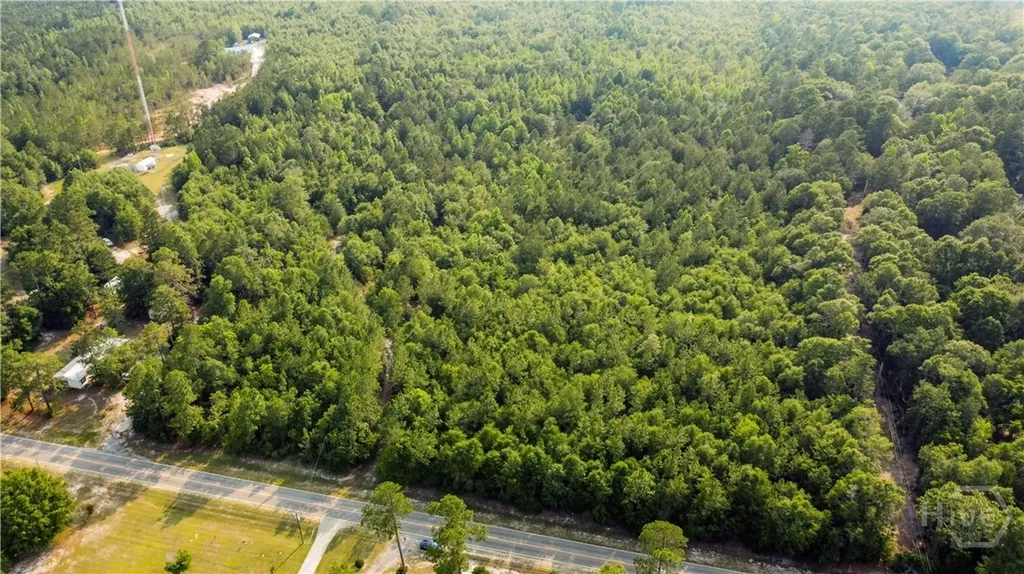 0 Halcyondale Road Sylvania GA 30467