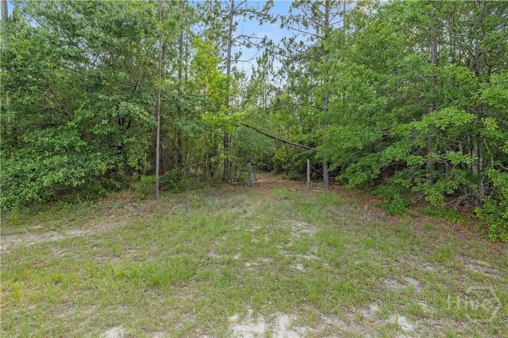 0 Halcyondale Road Sylvania GA 30467