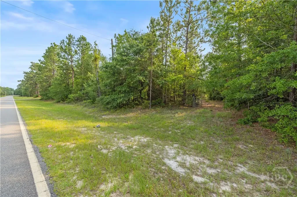 0 Halcyondale Road Sylvania GA 30467