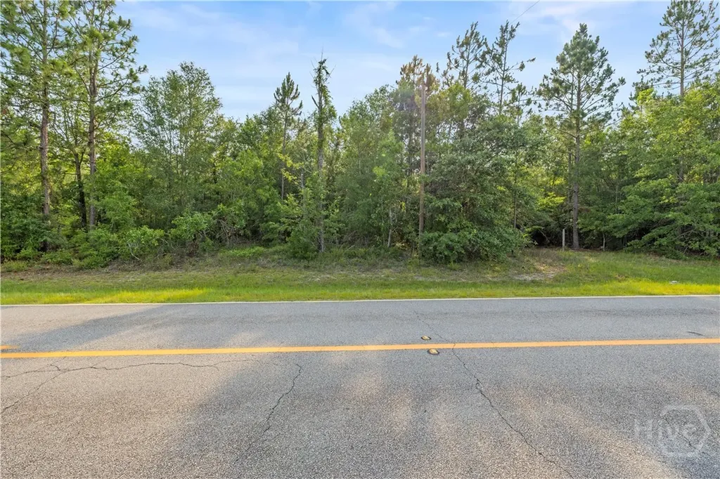 0 Halcyondale Road Sylvania GA 30467