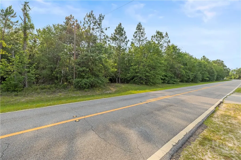 0 Halcyondale Road Sylvania GA 30467