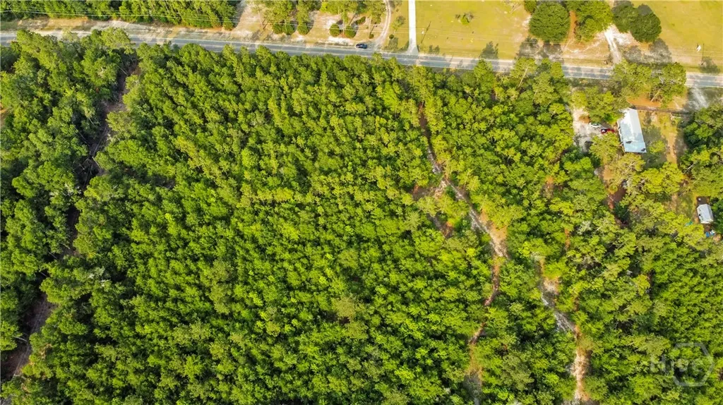 0 Halcyondale Road Sylvania GA 30467