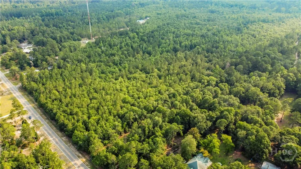 0 Halcyondale Road Sylvania GA 30467
