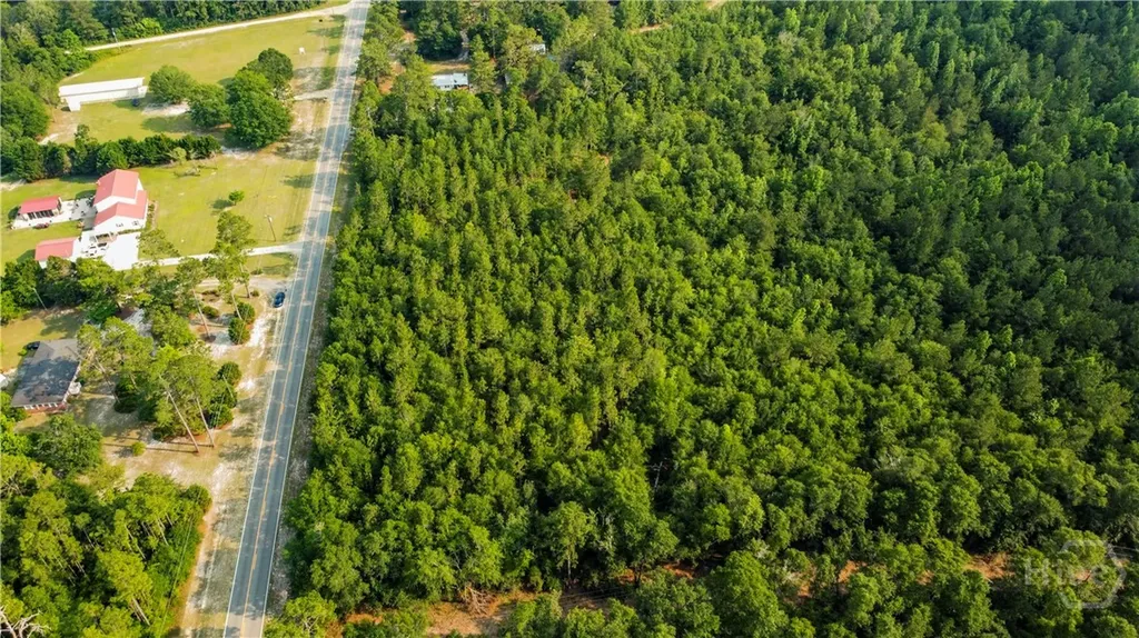 0 Halcyondale Road Sylvania GA 30467