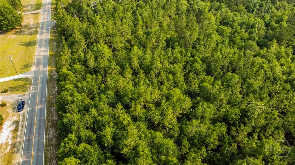 0 Halcyondale Road Sylvania GA 30467