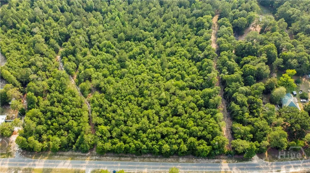 0 Halcyondale Road Sylvania GA 30467