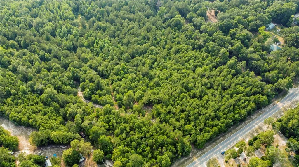 0 Halcyondale Road Sylvania GA 30467