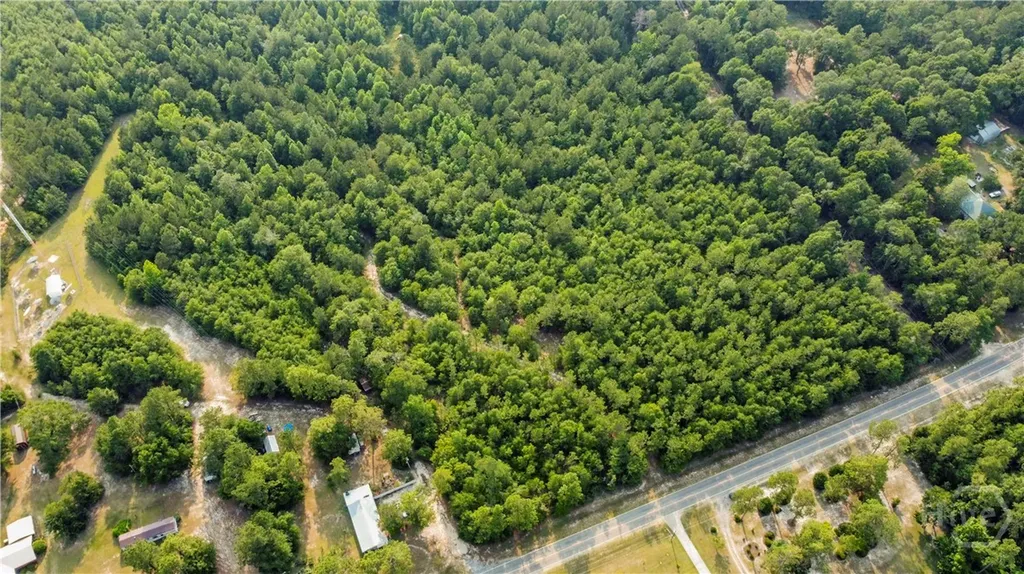 0 Halcyondale Road Sylvania GA 30467