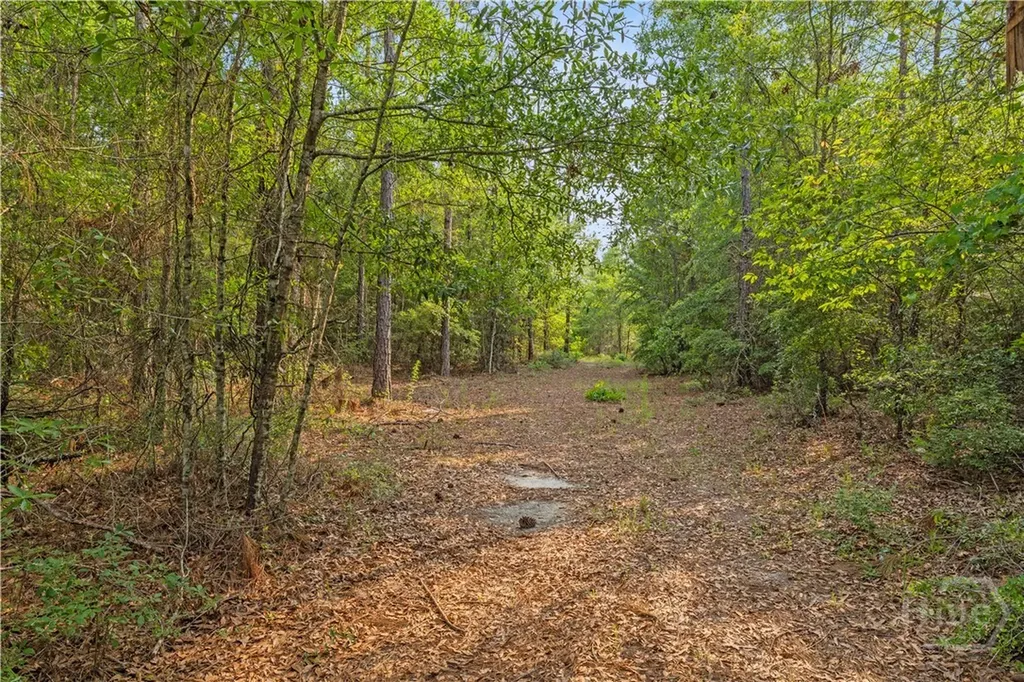 0 Halcyondale Road Sylvania GA 30467