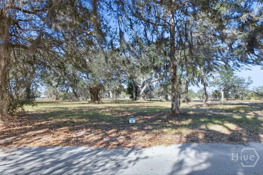 Lot 6 Bermuda Bluff Lane Midway GA 31320