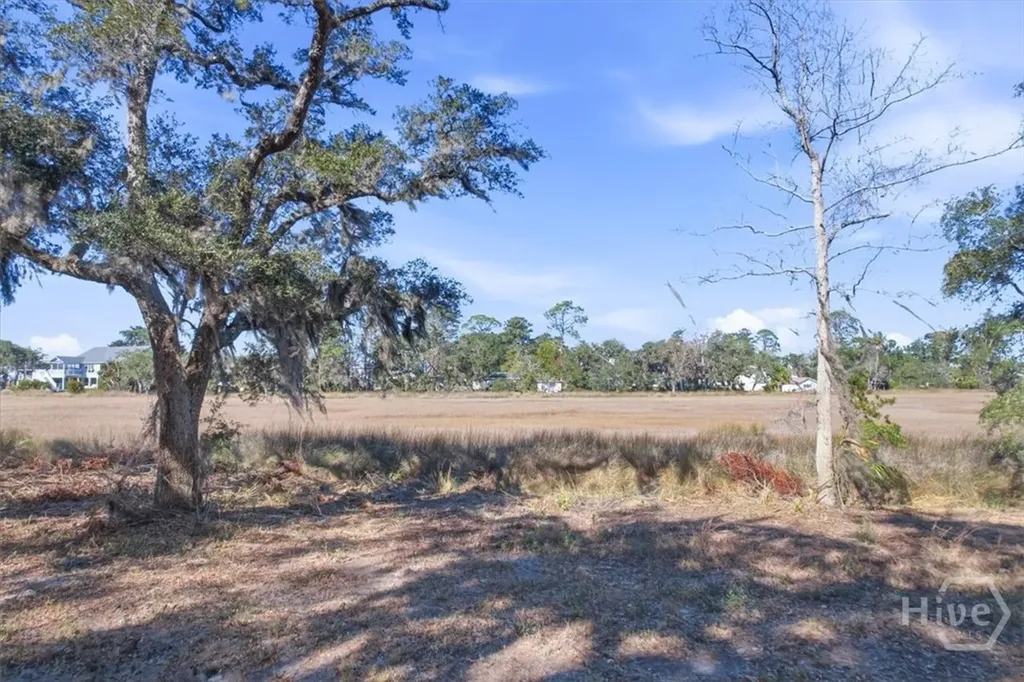 Lot 6 Bermuda Bluff Lane Midway GA 31320