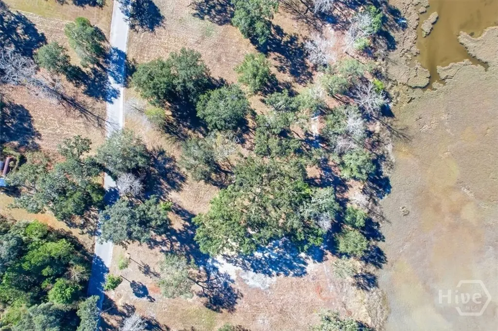 Lot 6 Bermuda Bluff Lane Midway GA 31320