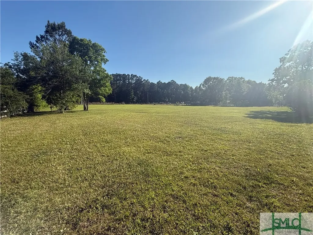 1726 Pine Barren Road Bloomingdale GA 31302