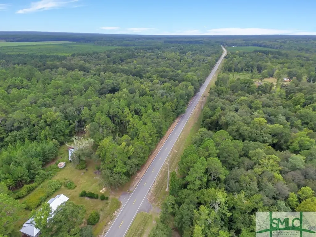 0 Highway 119 Pembroke GA 31321