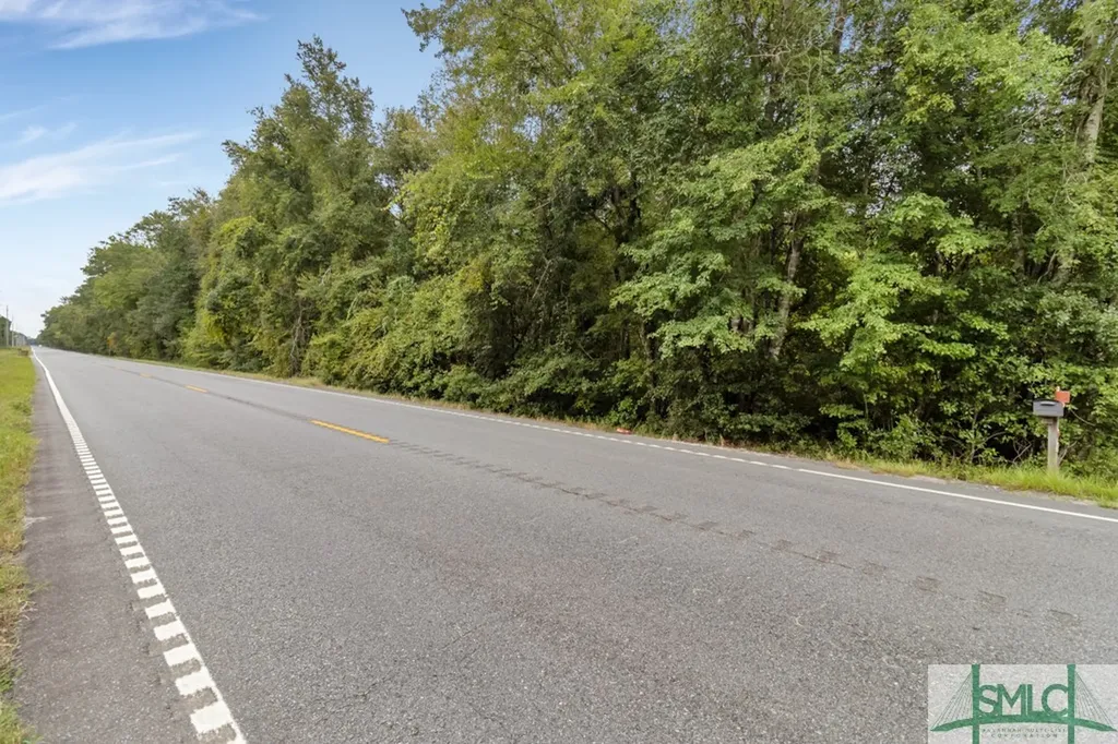 0 Highway 119 Pembroke GA 31321