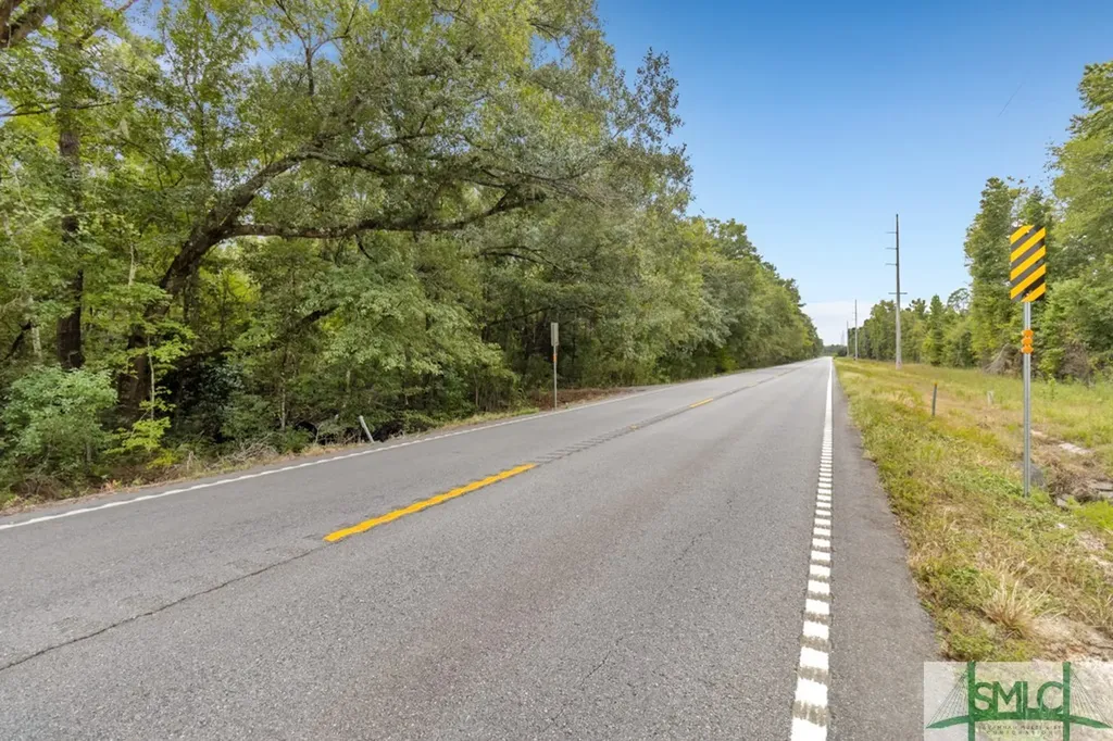 0 Highway 119 Pembroke GA 31321