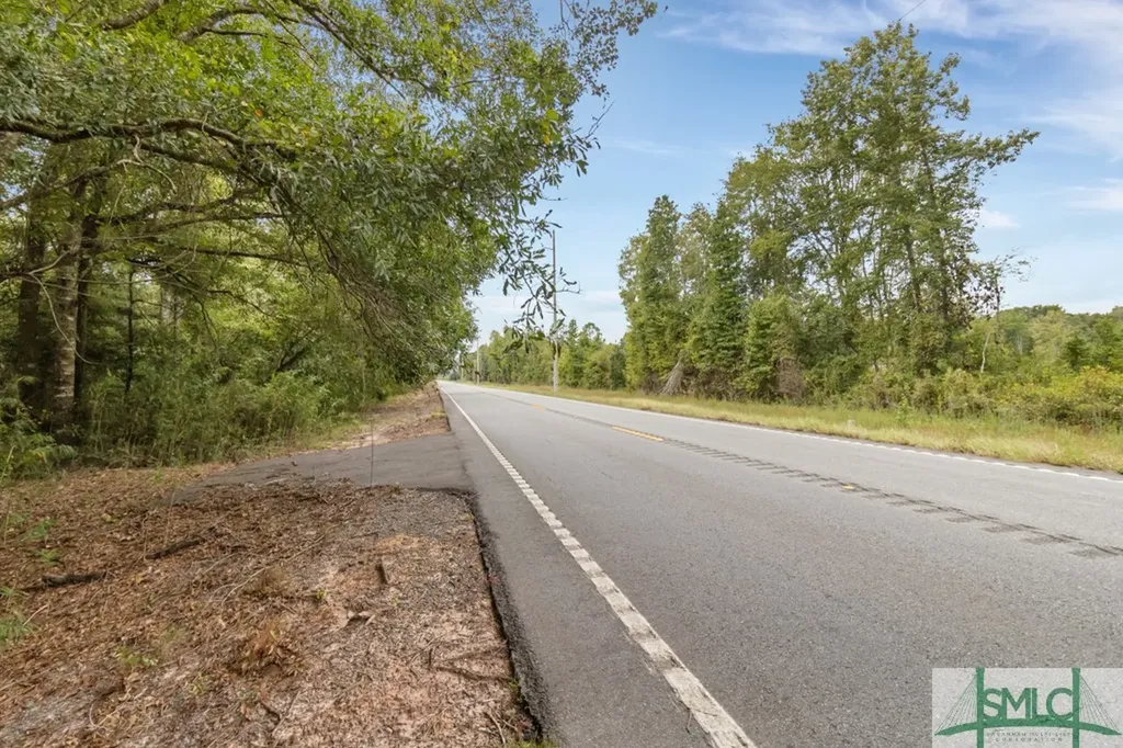0 Highway 119 Pembroke GA 31321