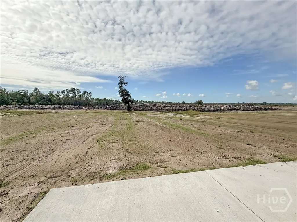 1118 Buckhead Loop SE Allenhurst GA 31301