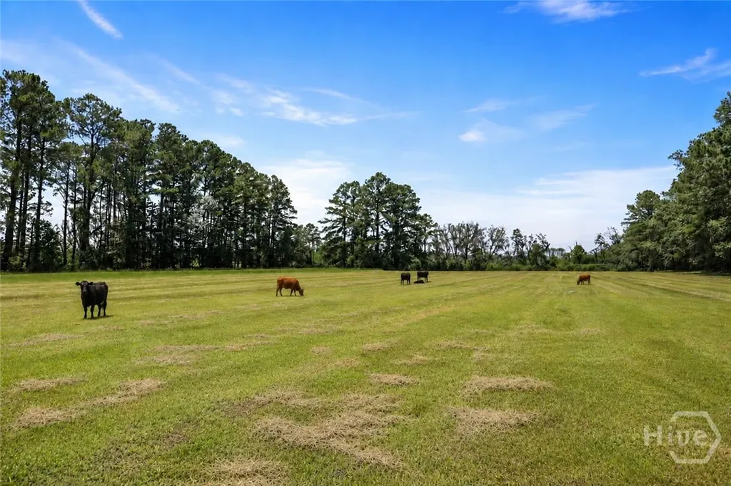 5747 Ogeechee Road Savannah GA 31405