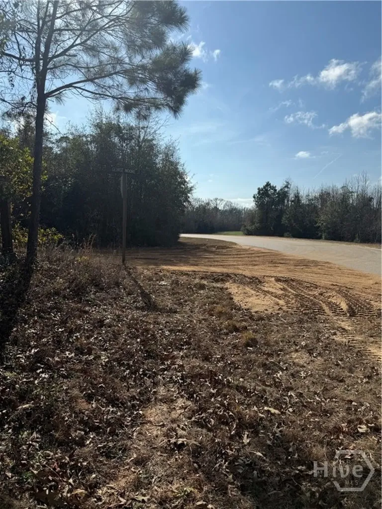 0 George Moore Road Statesboro GA 30461