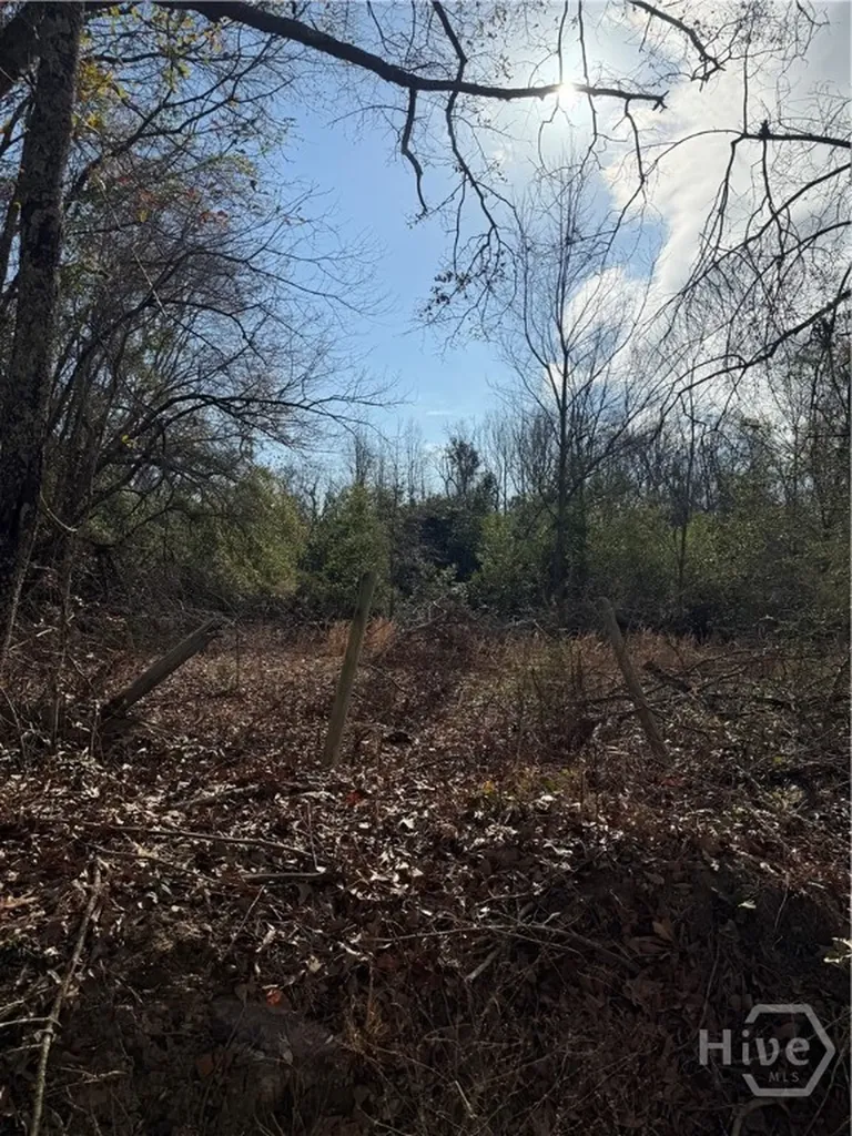0 George Moore Road Statesboro GA 30461