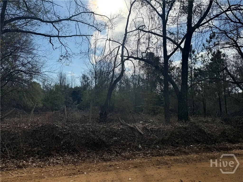 0 George Moore Road Statesboro GA 30461