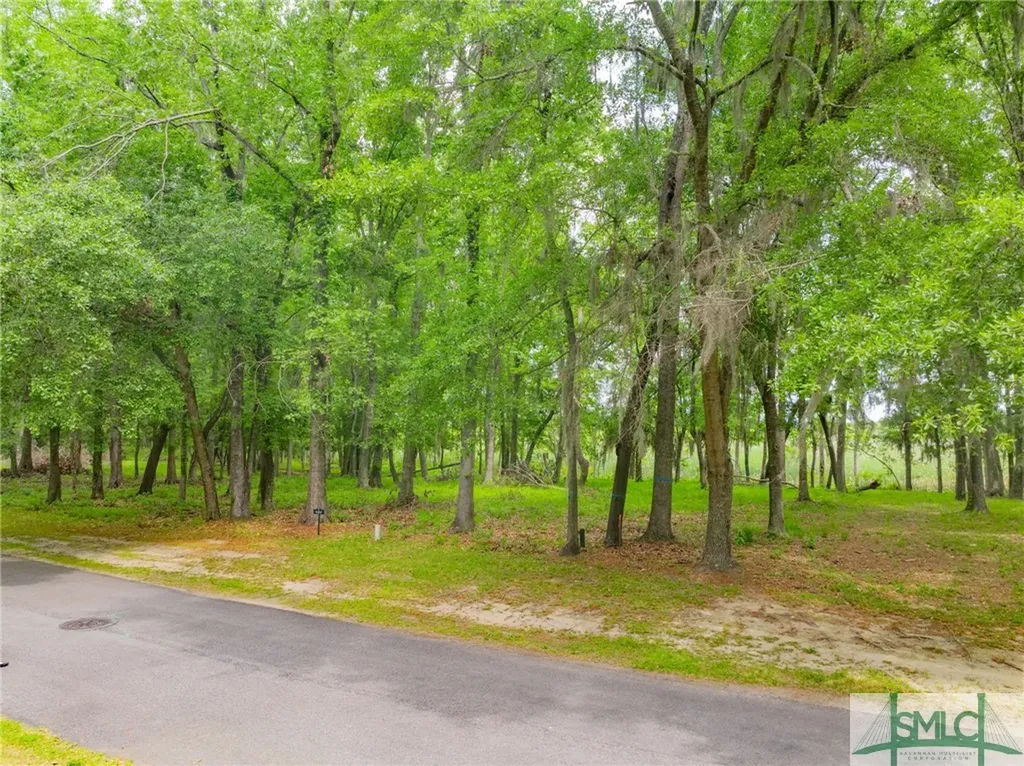 800 Silk Hope Drive Richmond Hill GA 31324