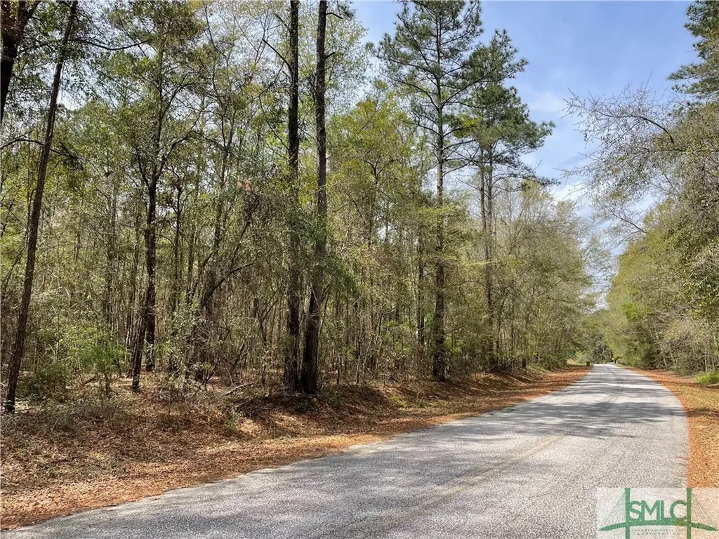 0 Pleasant Acres Road Springfield GA 31329
