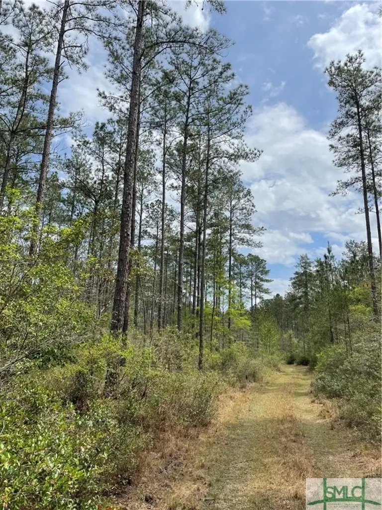 0 Pleasant Acres Road Springfield GA 31329
