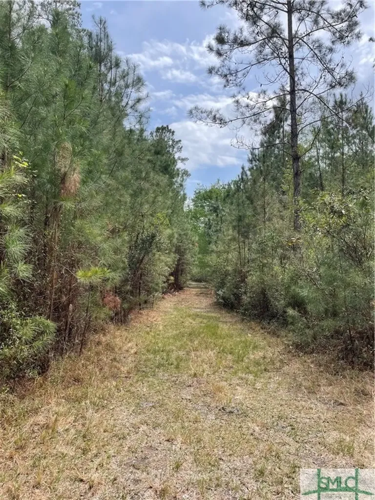 0 Pleasant Acres Road Springfield GA 31329