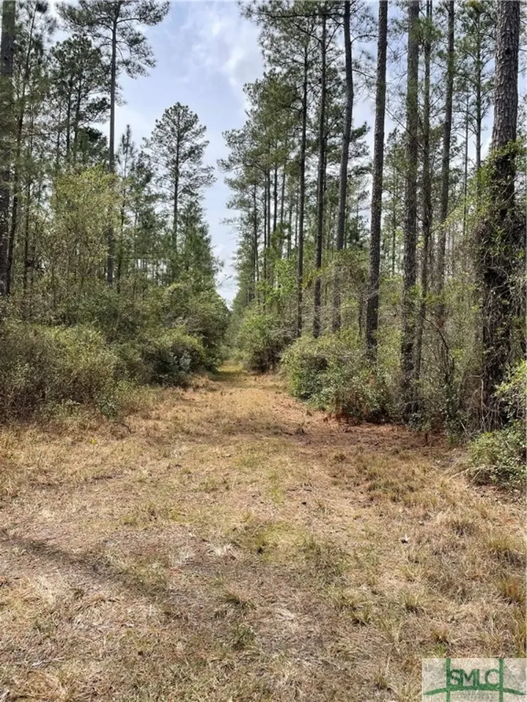 0 Pleasant Acres Road Springfield GA 31329
