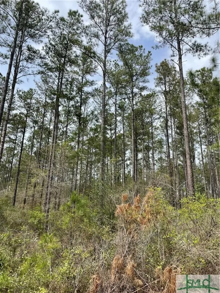 0 Pleasant Acres Road Springfield GA 31329