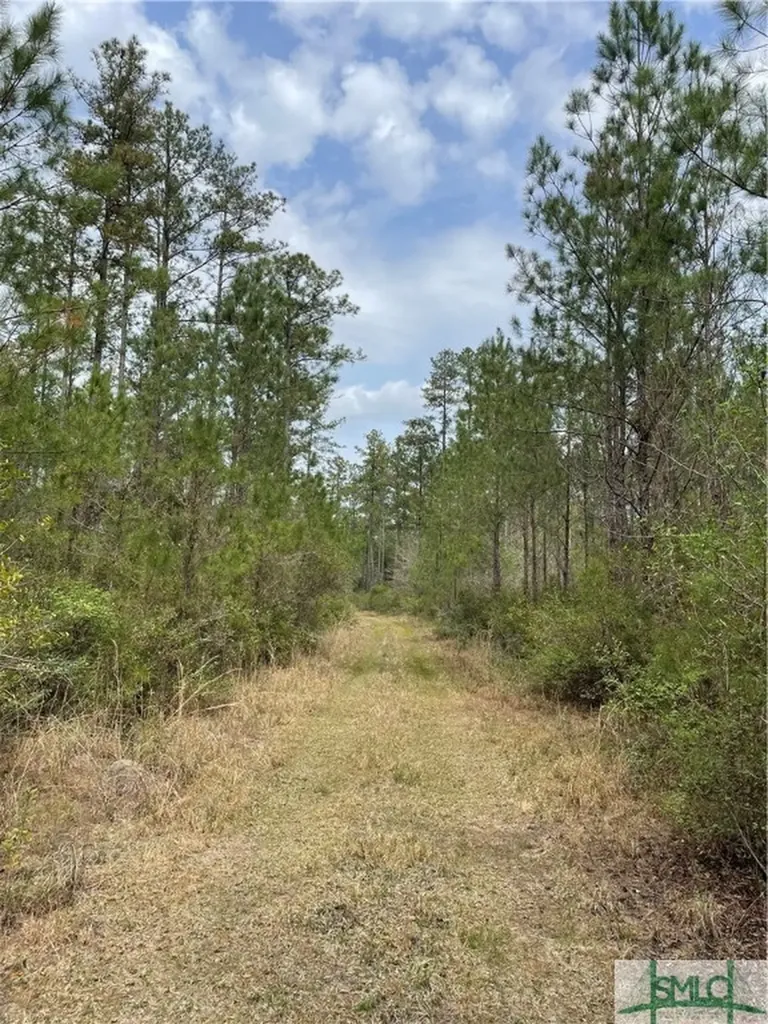 0 Pleasant Acres Road Springfield GA 31329