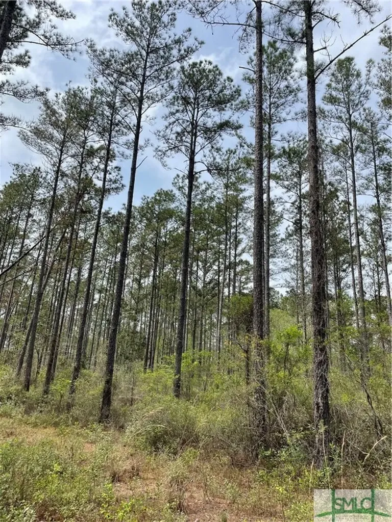 0 Pleasant Acres Road Springfield GA 31329