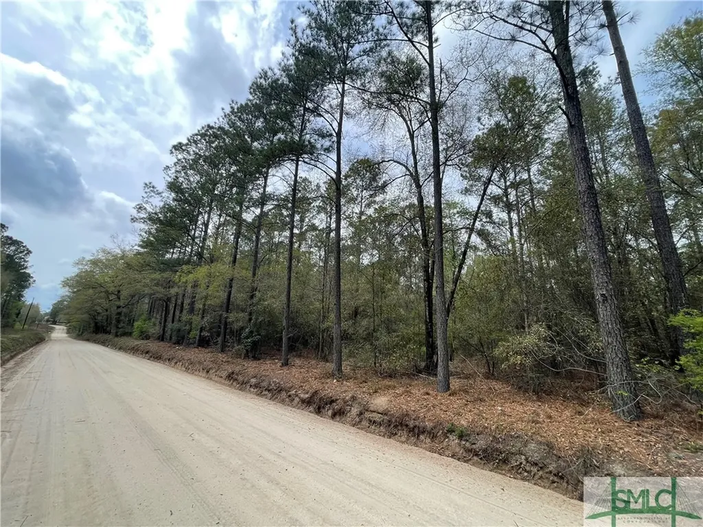 0 Pleasant Acres Road Springfield GA 31329