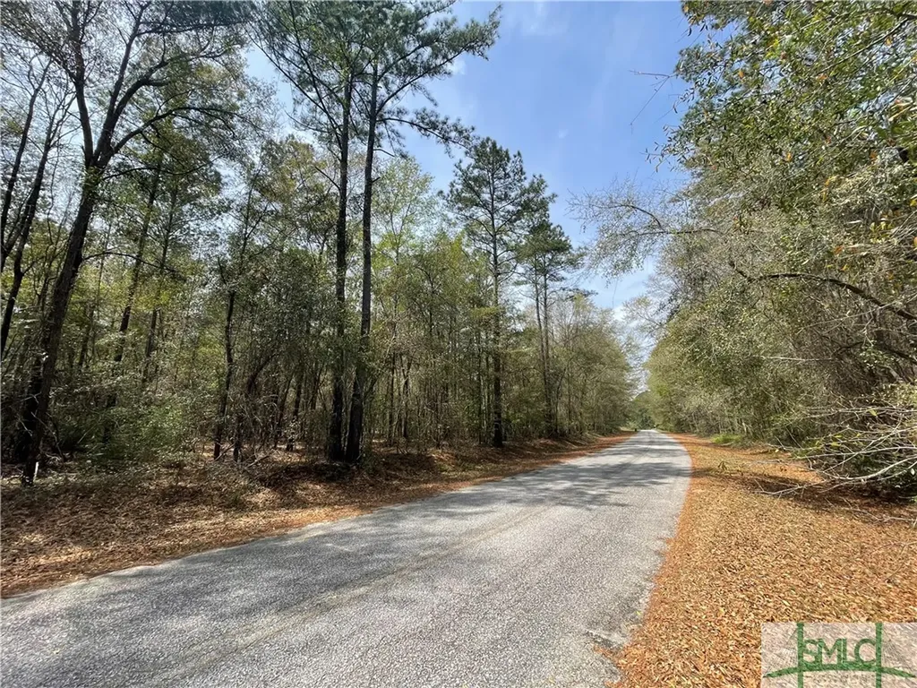 0 Pleasant Acres Road Springfield GA 31329