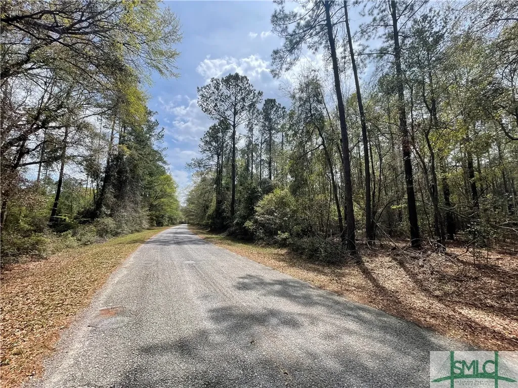 0 Pleasant Acres Road Springfield GA 31329