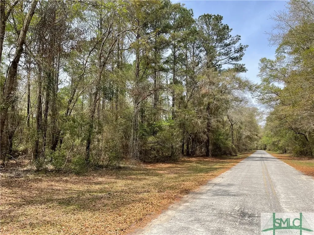 0 Pleasant Acres Road Springfield GA 31329
