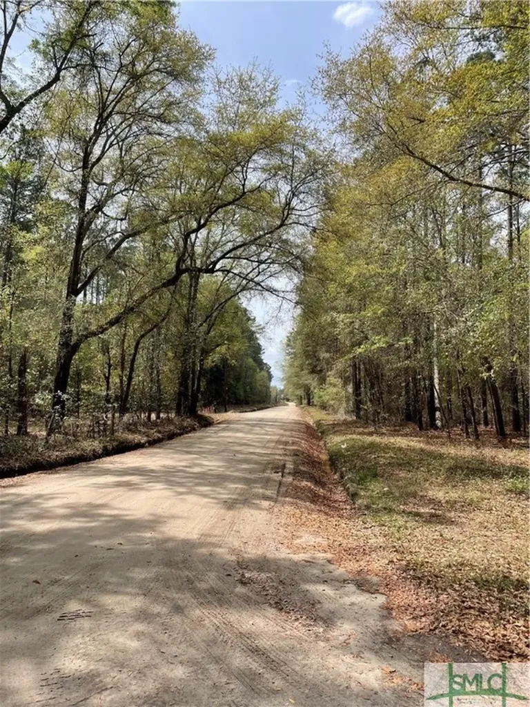 0 Pleasant Acres Road Springfield GA 31329