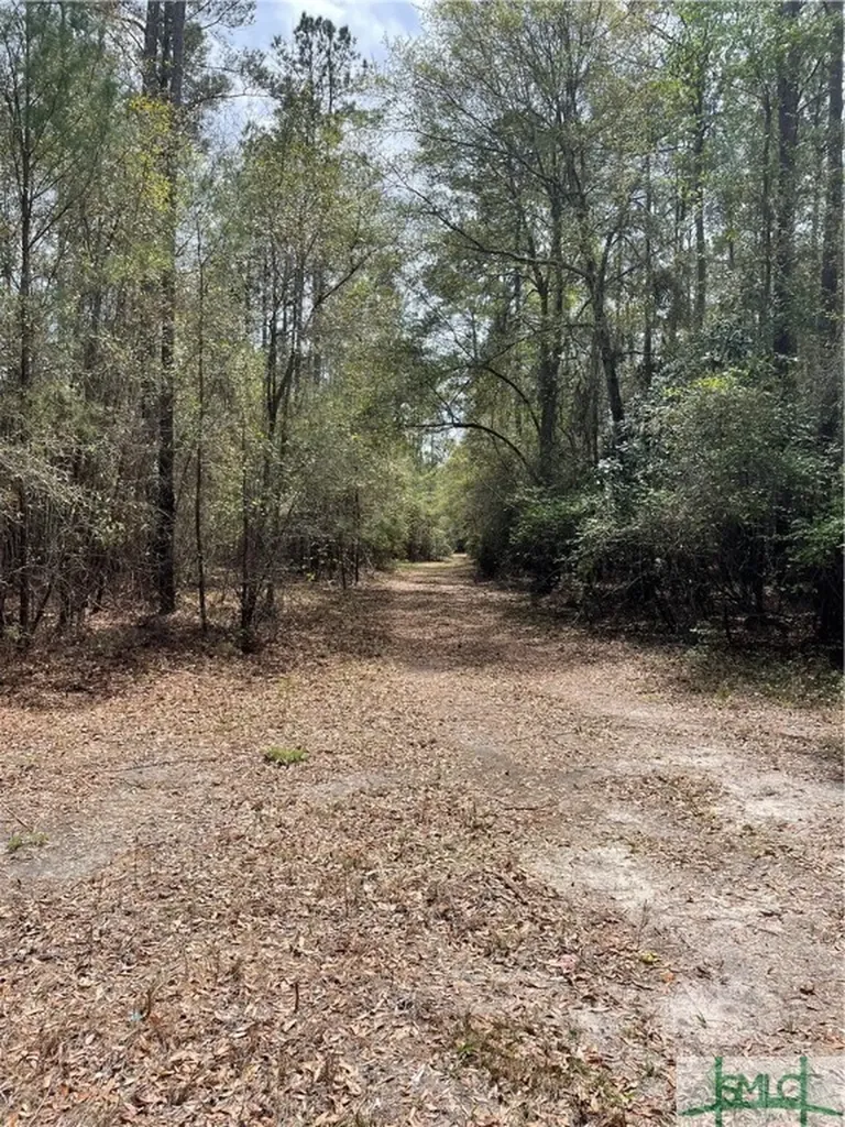 0 Pleasant Acres Road Springfield GA 31329