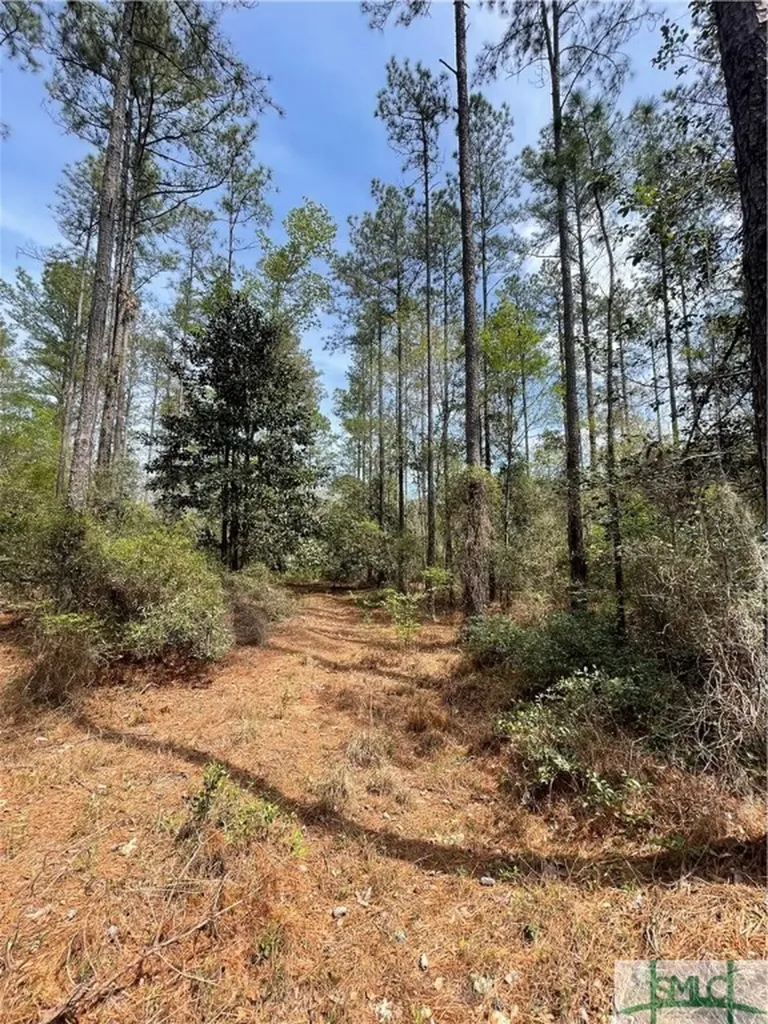 0 Pleasant Acres Road Springfield GA 31329