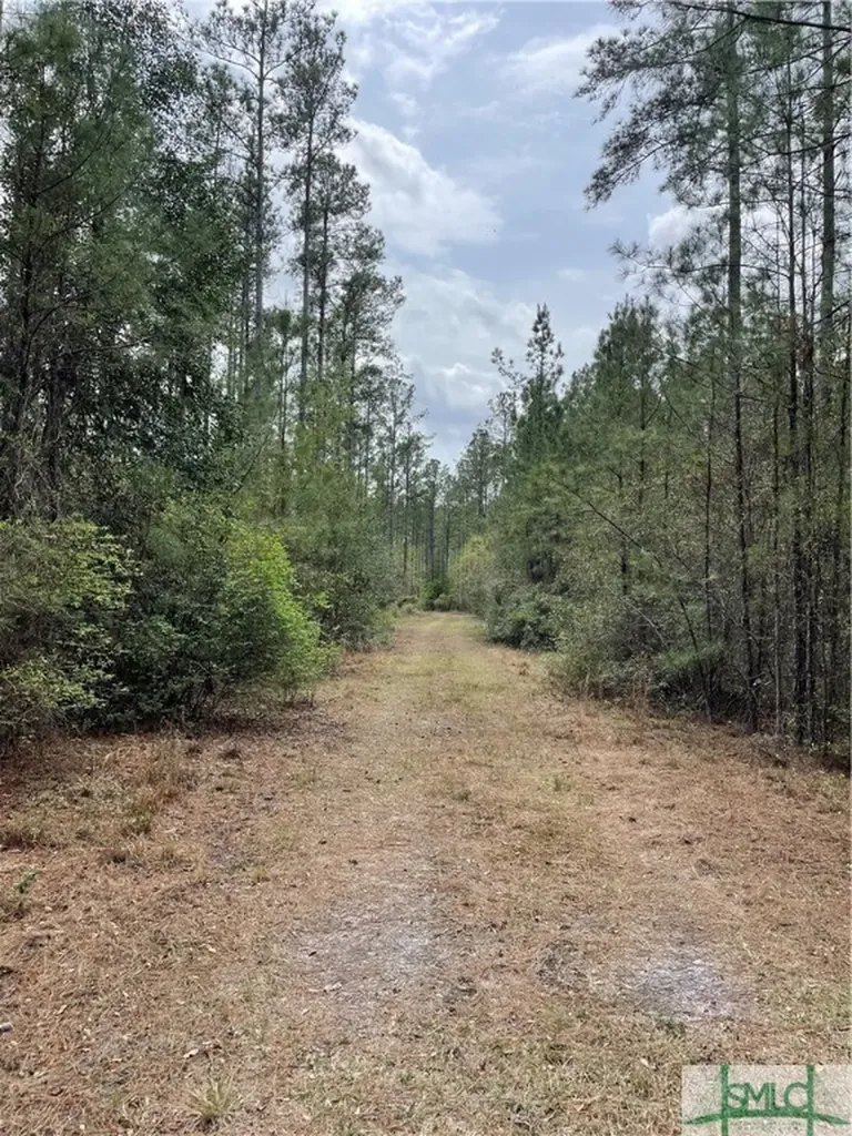 0 Pleasant Acres Road Springfield GA 31329