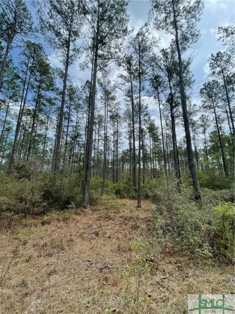 0 Pleasant Acres Road Springfield GA 31329