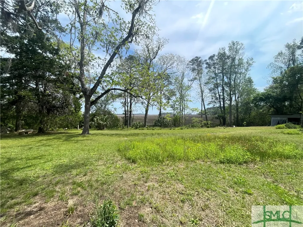 14009 Ga 99 Highway Darien GA 31305